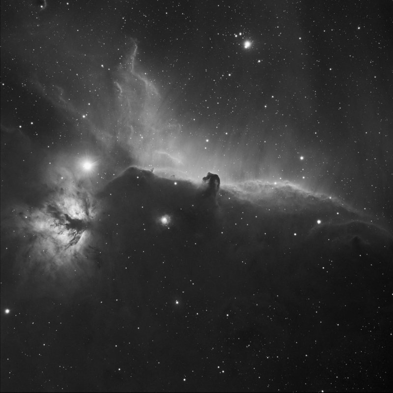 Horsehead Halpha only