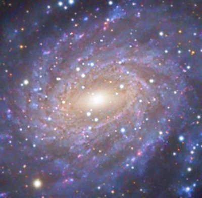 NGC 6744 The Pavo Galaxy