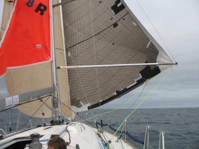 Delivery back - Loose lough goosewing