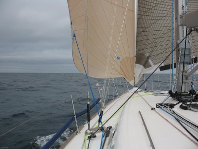 Delivery back - Loose lough goosewing
