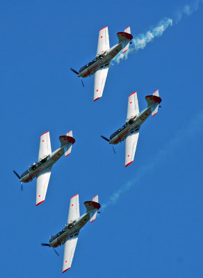 Yakolevs Formation & Aerobatic Display Team