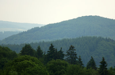 DSC_0119.jpg