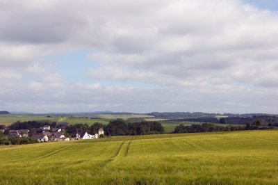 DSC_0269.jpg