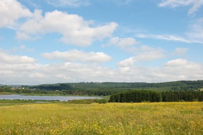 DSC_0273.jpg