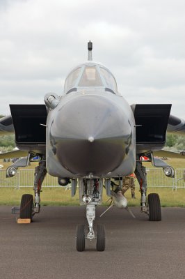 DSC_0026.jpg