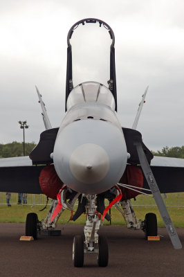 DSC_0185.jpg