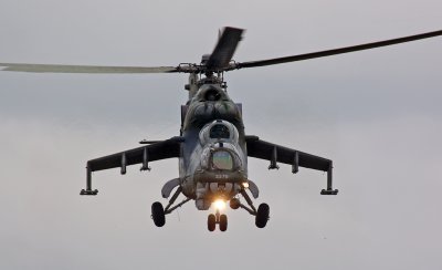 DSC_0175.jpg