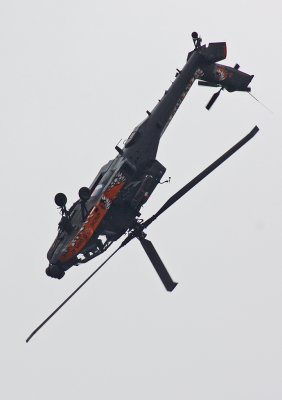 DSC_0122.jpg