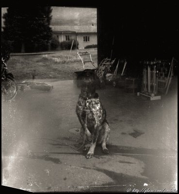 Image from Verichrome Pan roll