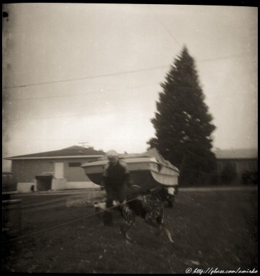 Image from Verichrome Pan roll