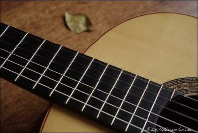 Classical Guitar by Sergio Zepega (Nicaragua)