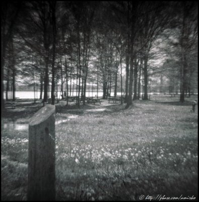 Image found on the forgotten exposed roll of 120 Kodak Verichrome Pan