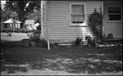 Image rescued from exposed 616 Kodak Verichrome Pan roll  (fragment)