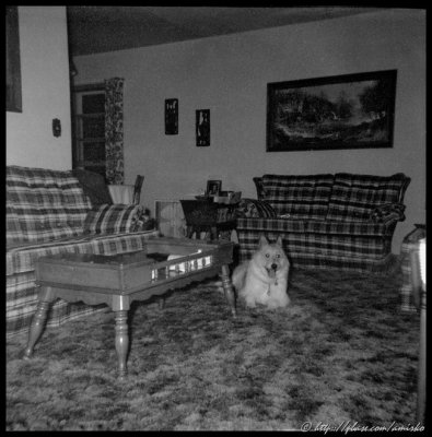Image from 127 Kodacolor II film
