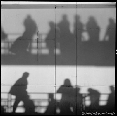 Gear Pages>>Yashica 44