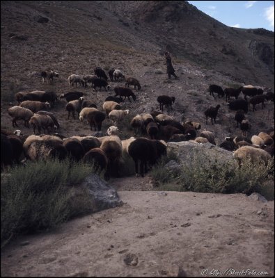 Photographer Unknown: Afghanistan