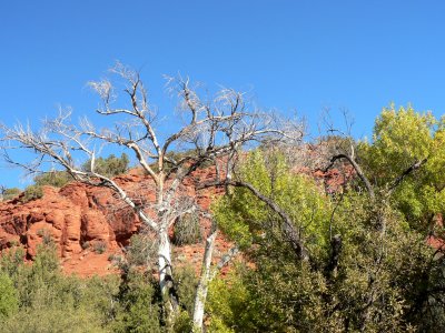 P1020439.JPG