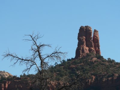 P1020441.JPG