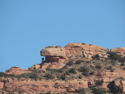 P1020444.JPG