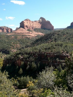 P1020480.JPG
