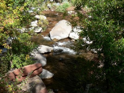 P1020484.JPG