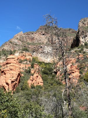 P1020487.JPG