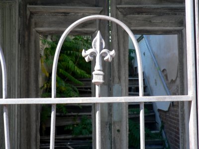 P1020727.JPG