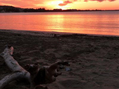 Luquillo Beach Sunset 12.jpg