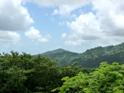 El Yunque 2.jpg