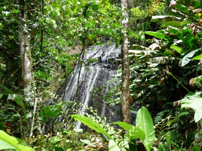 El Yunque Waterfall 1.jpg