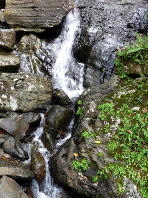 El Yunque Waterfall 2.jpg