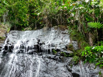 El Yunque Waterfall 4.jpg