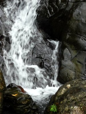 El Yunque Waterfall 5.jpg