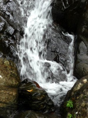 El Yunque Waterfall 6.jpg