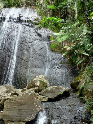 El Yunque Waterfall 7.jpg