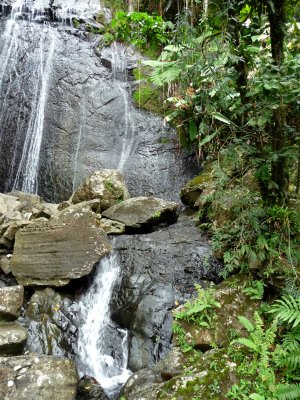 El Yunque Waterfall 8.jpg