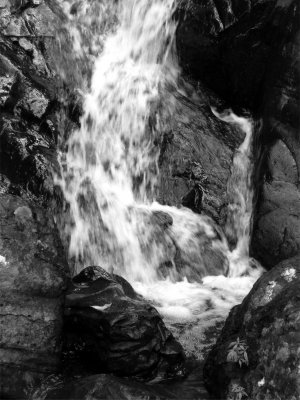 BW El Yunque Waterfall 6.jpg