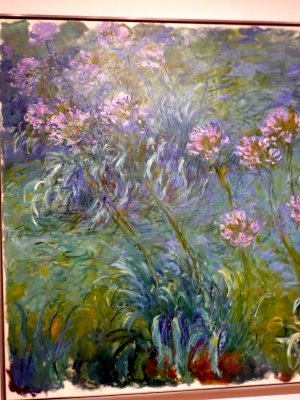 P1000620 MOMA.JPG