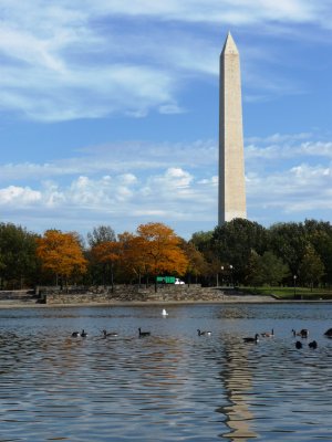 Washington Momument