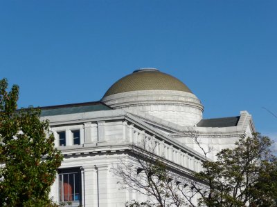 Smithsonian Museum of Natural History