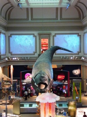 Smithsonian Museum of Natural History