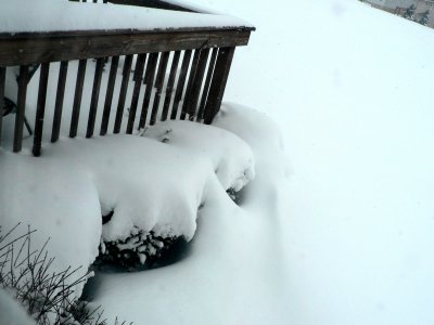 March Snow 2.jpg