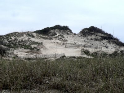 Amelia Island Dunes.jpg