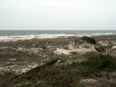 Amelia Island Dunes 2.jpg