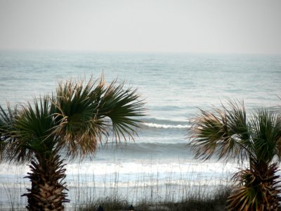 Jacksonville Beach 2.jpg