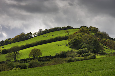 Merlin's Hill