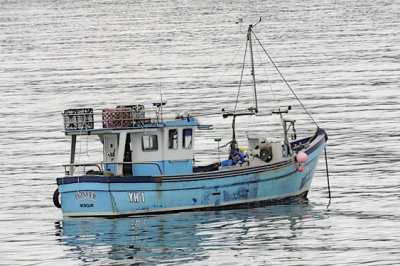 Fishing Boat, New Quay