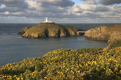 Strumble Head