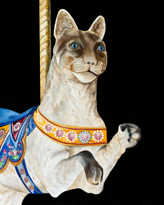 carousel cat - sm.jpg