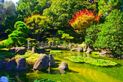 Japanese Garden - San Mateo